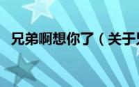 兄弟啊想你了（关于兄弟啊想你了的简介）