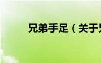 兄弟手足（关于兄弟手足的简介）