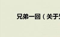 兄弟一回（关于兄弟一回的简介）
