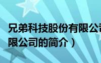 兄弟科技股份有限公司（关于兄弟科技股份有限公司的简介）