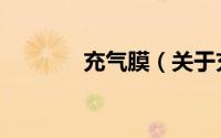 充气膜（关于充气膜的简介）