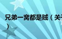 兄弟一窝都是贼（关于兄弟一窝都是贼的简介）