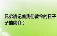 兄弟请记着我们曾今的日子（关于兄弟请记着我们曾今的日子的简介）
