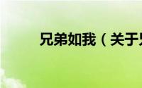 兄弟如我（关于兄弟如我的简介）
