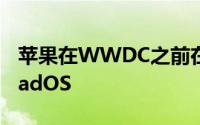 苹果在WWDC之前在开发者信息中披露了iPadOS
