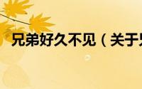 兄弟好久不见（关于兄弟好久不见的简介）