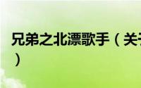 兄弟之北漂歌手（关于兄弟之北漂歌手的简介）