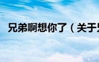 兄弟啊想你了（关于兄弟啊想你了的简介）