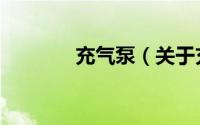 充气泵（关于充气泵的简介）