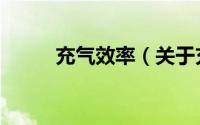 充气效率（关于充气效率的简介）