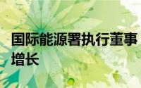 国际能源署执行董事：全球电力需求正在快速增长