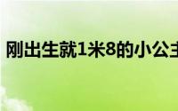 刚出生就1米8的小公主来啦 到底什么情况嘞