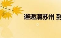 邂逅潮苏州 到底什么情况嘞