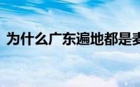 为什么广东遍地都是麦当劳 到底什么情况嘞