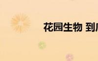 花园生物 到底什么情况嘞