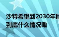 沙特希望到2030年能接待超500万中国游客 到底什么情况嘞