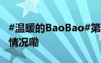 #温暖的BaoBao#第1021期节目单 到底什么情况嘞