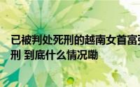 已被判处死刑的越南女首富张美兰另案再受审被追加无期徒刑 到底什么情况嘞