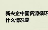 新央企中国资源循环集团有限公司成立 到底什么情况嘞