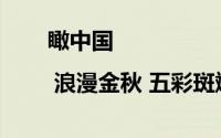 瞰中国 | 浪漫金秋 五彩斑斓 到底什么情况嘞