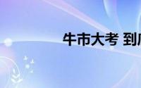 牛市大考 到底什么情况嘞