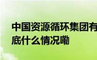 中国资源循环集团有限公司正式挂牌成立 到底什么情况嘞