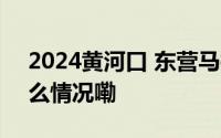 2024黄河口 东营马拉松参赛包揭秘 到底什么情况嘞