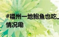 #福州一地鲍鱼也吃上了压缩饼干# 到底什么情况嘞