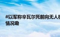 #以军称辛瓦尔死前向无人机投掷棍子#画面公布 到底什么情况嘞