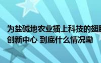为盐碱地农业插上科技的翅膀——国家盐碱地综合利用技术创新中心 到底什么情况嘞