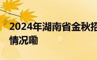 2024年湖南省金秋招聘月活动启动 到底什么情况嘞