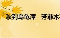 秋到乌龟潭   芳菲木芙蓉 到底什么情况嘞