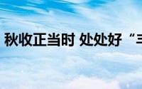 秋收正当时 处处好“丰”光 到底什么情况嘞