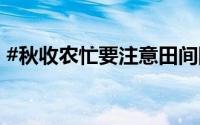 #秋收农忙要注意田间防火# 到底什么情况嘞