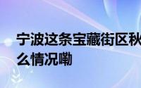 宁波这条宝藏街区秋天来逛正当时！ 到底什么情况嘞