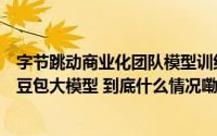字节跳动商业化团队模型训练被“投毒”内部人士称未影响豆包大模型 到底什么情况嘞