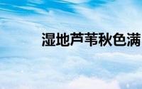 湿地芦苇秋色满 到底什么情况嘞