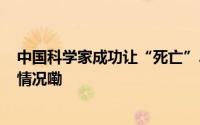 中国科学家成功让“死亡”50 分钟猪脑“复活” 到底什么情况嘞