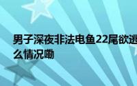 男子深夜非法电鱼22尾欲逃跑被民警一个飞扑控制 到底什么情况嘞