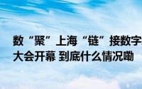数“聚”上海“链”接数字经济新未来——2024全球数商大会开幕 到底什么情况嘞