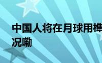 中国人将在月球用榫卯工艺盖房 到底什么情况嘞
