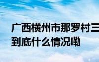 广西横州市那罗村三家养猪场粪污直排官方 到底什么情况嘞