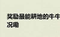 奖励最能耕地的牛牛一朵小红花 到底什么情况嘞