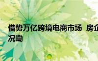 借势万亿跨境电商市场  房企发力产业园区赛道 到底什么情况嘞