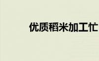 优质稻米加工忙 到底什么情况嘞