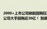 2000+上市公司掀起回购狂潮！药明康德、海康威视等多家公司大手回购近30亿！ 到底什么情况嘞