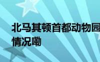 北马其顿首都动物园因禽流感关闭 到底什么情况嘞