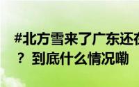 #北方雪来了广东还在吹空调# 你今天穿的啥？ 到底什么情况嘞