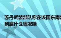 苏丹武装部队称在该国东南部打死163名快速支援部队成员 到底什么情况嘞