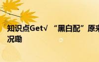 知识点Get√ “黑白配”原来是大熊猫的保护色 到底什么情况嘞